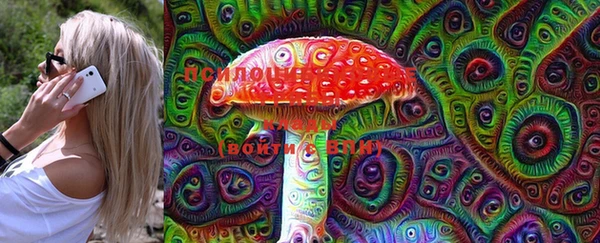 ГАЛЛЮЦИНОГЕННЫЕ ГРИБЫ Кинешма