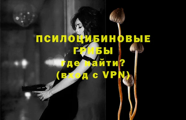 МДПВ Киренск